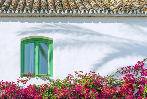 Holiday Rentals in Andalucia © Michelle Chaplow