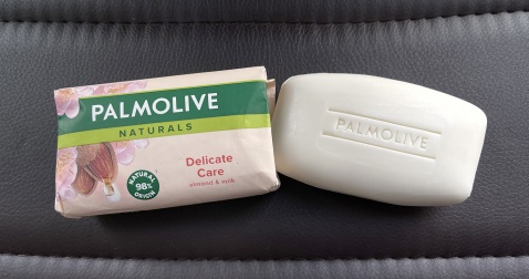 Palmona was too hard toremeber, so members of the band provided her with the nickname "Palmolive" © Michelle Chaplow