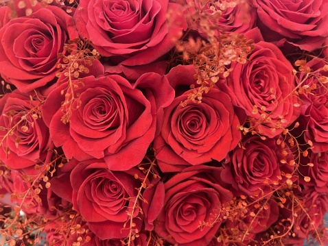 Love is in the air in Andalucia © Michelle Chaplow