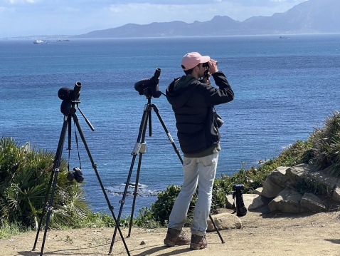 Punto Carnero is a haven of avian activity. Situated within the Parque Natural del Estrecho (The Strait Natural Park).