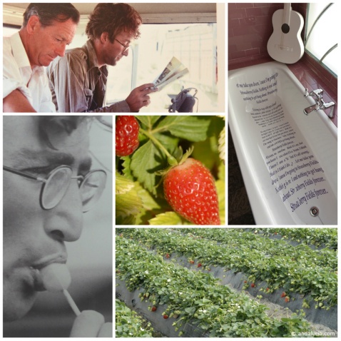 It's not well known that John Lennon wrote Strawberry Fields Forever in Almeria
