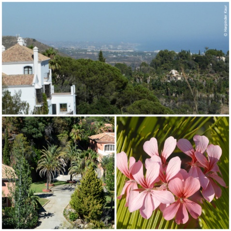 El Madronal in Marbella. © Harpinder Kaur