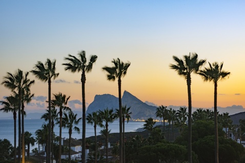 Alcaidesa, tropical palms and views accross the Mediterranean to Gibraltar  © Michelle Chaplow