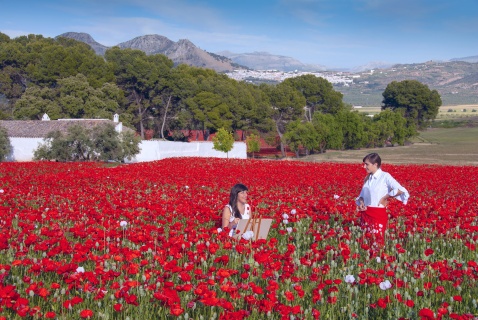 Spring in Andalucia 2024