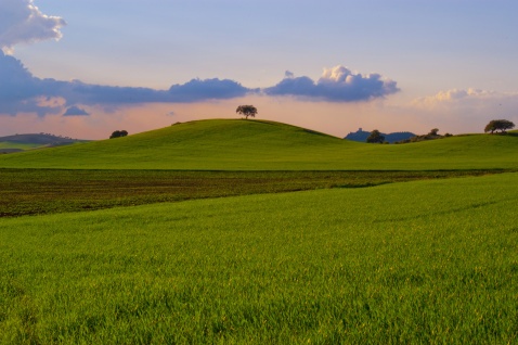 Beautiful green rolling hills of La Campiña, stretching as far as the eye can see © Michelle Chaplow