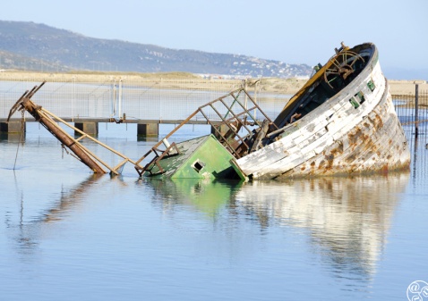 Relics in the bay of Barbate