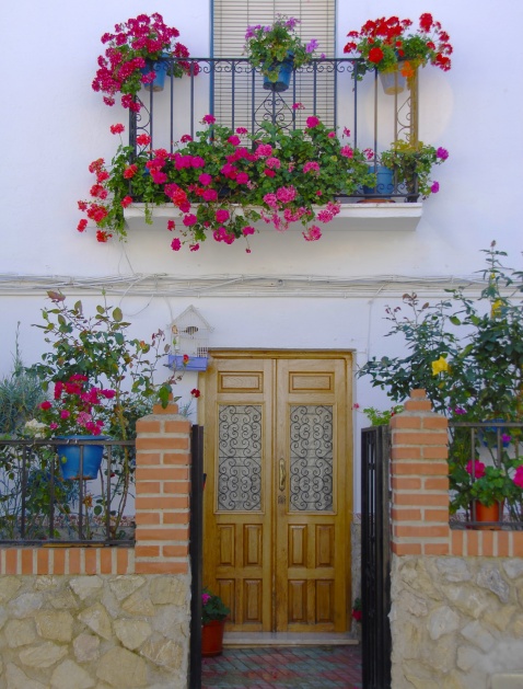 Doorway and flowers in Pujerra