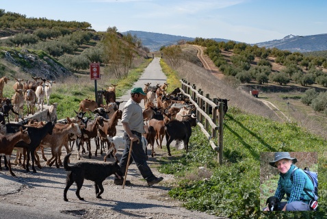 Walking in Andalucia by Guy Hunter Watts main photo @ Michelle Chaplow