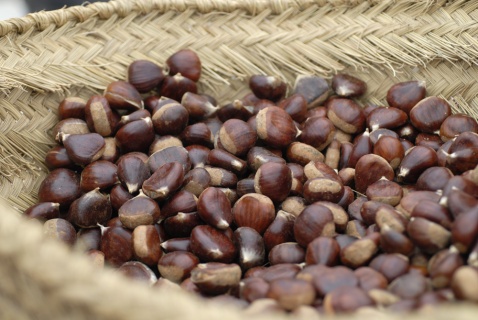 Chestnuts from Pujerra
