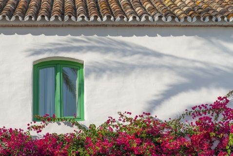 The charm of living in the sundrenced Andalucian countryside © Michelle Chaplow