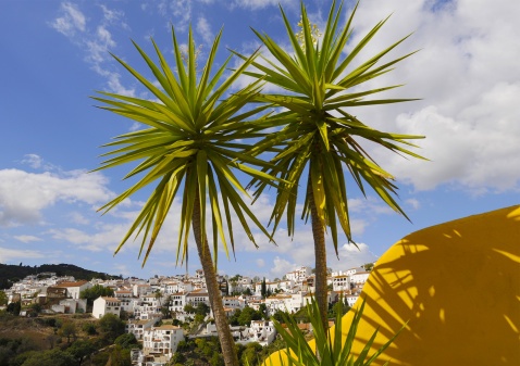 The white village of Gaucin © Michelle Chaplow