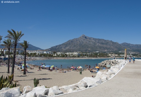 The beach of Puerto Banus © Michelle Chaplow