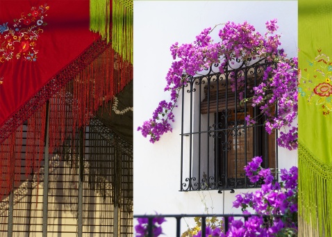 Strolling around the quaint streets of this white village can be a floral feast for the eyes © Michelle Chaplow