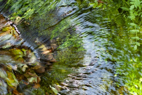 The crystal clear waters of 'El Nacimiento' spring © Michelle Chaplow