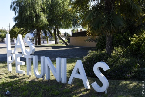 Las Petunias