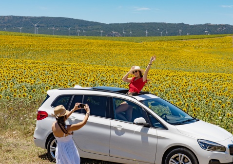 Sunflowers and summer sunshine in Andalucia © Michelle Chaplow