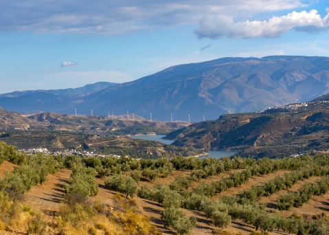 Olive groves, quaint white villages in the "comarca" of the Lecrin Valley. © Michelle Chaplow