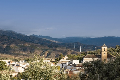 Pinos del Valle © Michelle Chaplow