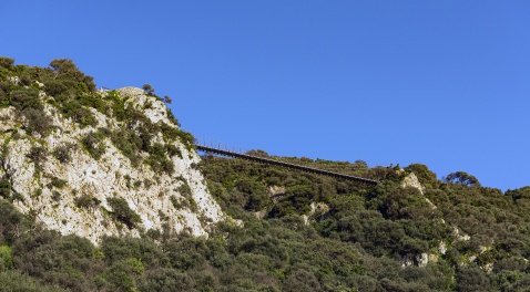 There is a very impressive skywalk within the upper rock, nature reserve © Michelle Chaplow