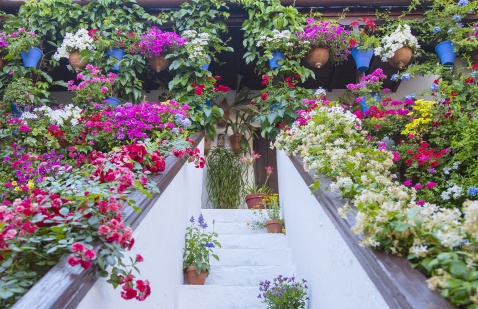 Patios de San Basilio © Michelle Chaplow
