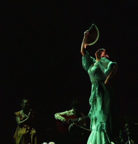 And for some entertainment pulsating with passion and yearning, it has to be flamenco © Michelle Chaplow