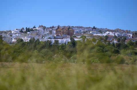 Sunlit charm of Benaulup’s white village, Cádiz © Michelle Chaplow
