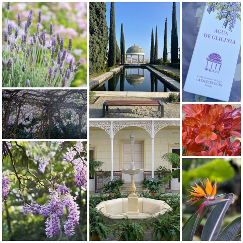 La Concepción Jardín Botánico-Historico de Málaga. The historic botanical gardens of Malaga