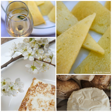 Say Cheese © Michelle Chaplow