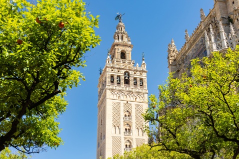 The magnificent Giralda tower of Seville Cathedral © istockphoto