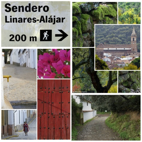This is one of the loveliest walks in the Sierra de Aracena. © Michelle Chaplow