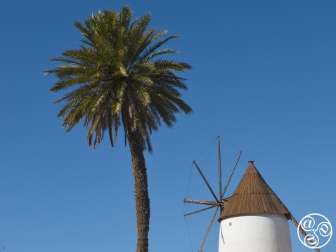 The historic windmill, in the white costal village of Las Negras The historic windmill, in the white costal village of Las Negras © Michelle Chaplow
