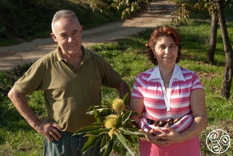 Day trippers Sebastian and Aracile collecting Chestnuts Day trippers Sebastian and Aracile collecting Chestnuts © Michelle Chaplow