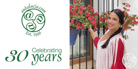 Celebrating 30 years online