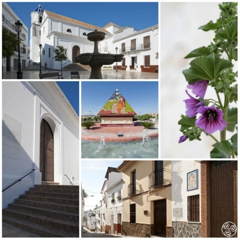  Alhaurin el Grande © Michelle Chaplow