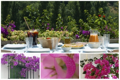 Think Spain, think Bougainvilleas © Michelle Chaplow