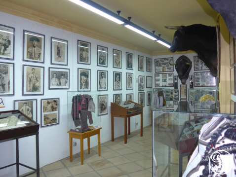 Estepona Bullfighting museum is housed in the Bullring © Michelle Chaplow