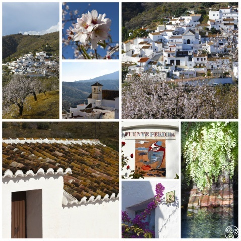 Diamolos Andalucia Spain  © Michelle Chaplow