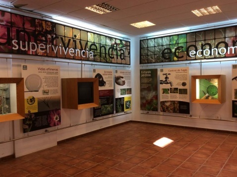 Visitors centre offers a nice entrance to the botanical gardens