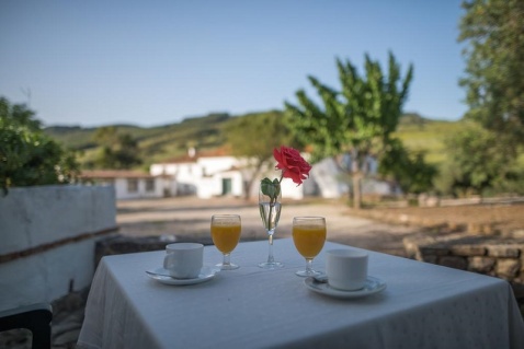 Drinks in the fresh air at El Horcajo Farm © Booking.com / El Horcajo