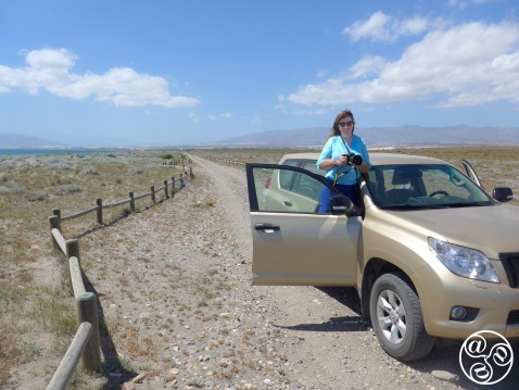 Endless photo ops await in Cabo de Gata—keep your camera at the ready. Endless photo ops await in Cabo de Gata—keep your camera at the ready © Michelle Chaplow