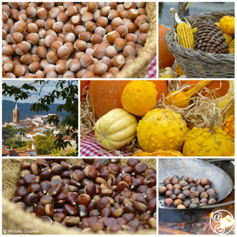 Roast Chestnuts, hazelnuts, squash and pumpkins. An autumn scene in the village of Fuenteheridos © Michelle Chaplow