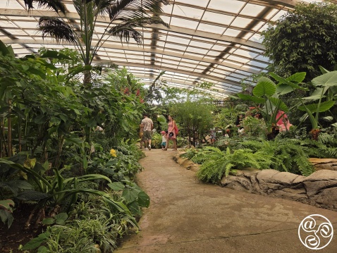 Benalmadena Butterfly Park © Mihnea Gamulescu Benalmadena Butterfly Park © Mihnea Gamulescu