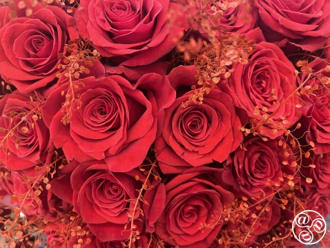 Love is in the air in Andalucia © Michelle Chaplow