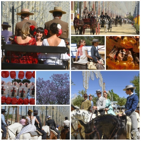 Jerez Horse Fair © Michelle Chaplow