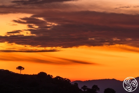 View of the landscape at Sierra Morena during dusk. Sierra Morena, Andújar, Jaén province, Andalucia, Spain. © Marcos G Meider