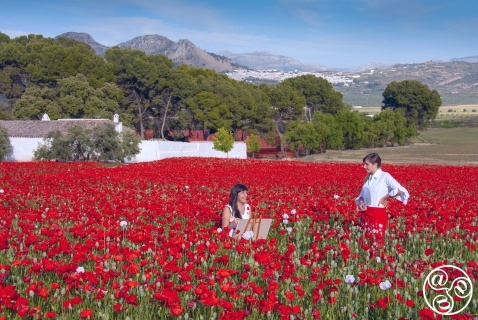 Spring in Andalucia 2024 Spring in Andalucia 2024