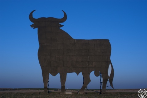 The Iconic Osbourne Bull © Michelle Chaplow