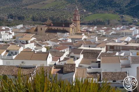 The terracotta roofs and majestic Church make Algodonales a " picture postcard" scene. © Michelle Chaplow