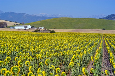 More and more people are mindful of the environment and sustainable tourism © Michelle Chaplow