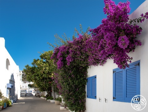 The quaint streets of Agua Amarga © Michelle Chaplow